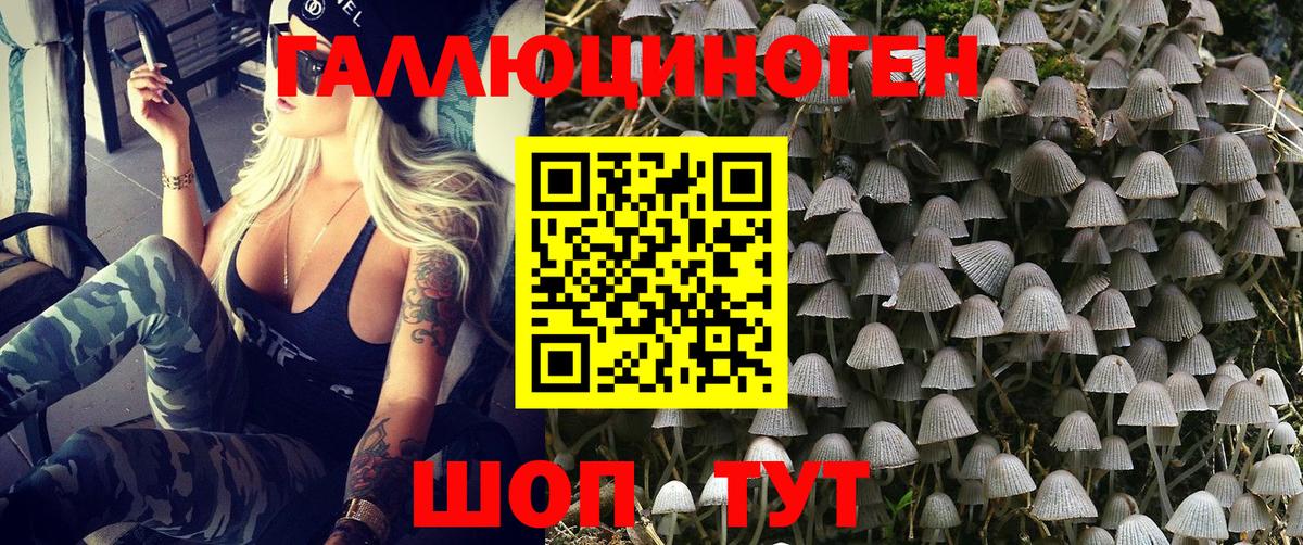 Луховицы  купить наркоту  Вход с VPN  Псилоцибиновые грибы мухоморы 
