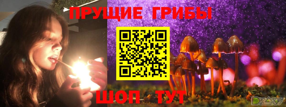 Псилоцибиновые грибы GOLDEN TEACHER Луховицы